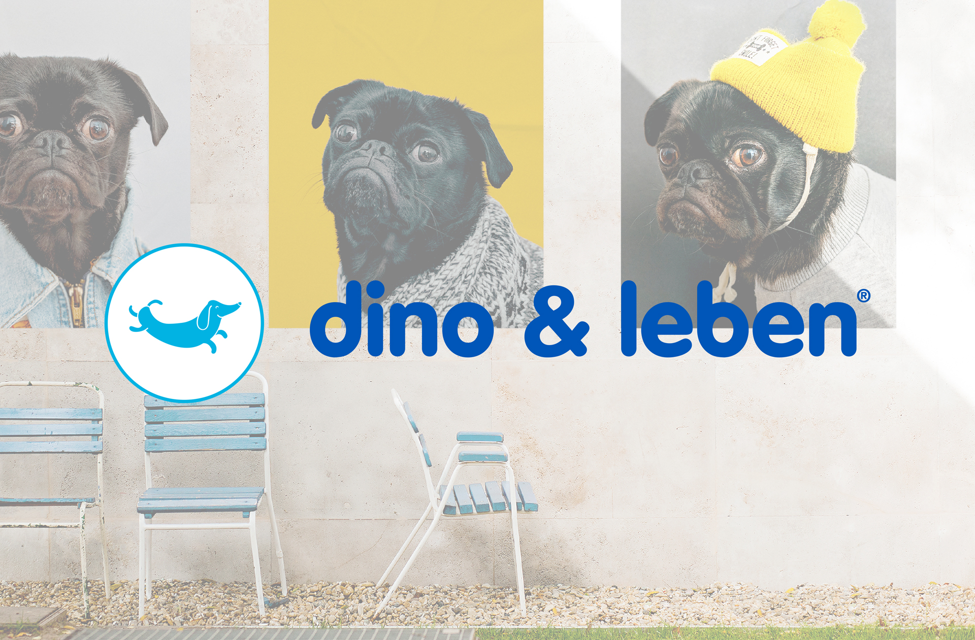 Branding de DINO & LEBEN